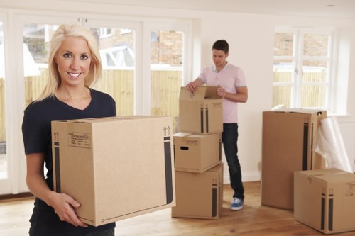 Professional packing supplies and boxes in Maidavale