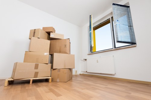 Professional man and van loading boxes for a move