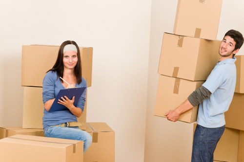 Professional van for house relocation in Maidavale