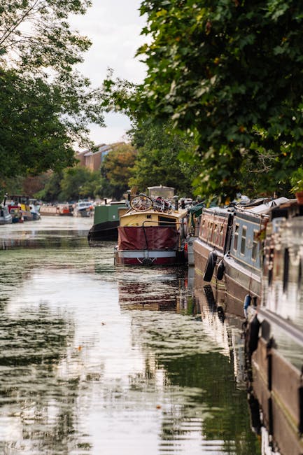 A row of narrowboats moored along a canal bank surrounded by lush green trees. The boats are tightly packed, with some appearing in shades of brown, green, and cream, fitted with various equipment and accessories on their roofs. The water reflects the boats and the overhanging foliage, with gentle ripples indicating recent movement or current. In the background, additional boats are visible further along the canal, while the sky is partly cloudy, providing soft natural light. The scene captures a tranquil waterside environment typical of house and furniture removals involving waterway access, suggesting a moving or transport process facilitated by Maida Vale Man and Van, especially relevant for home relocation or furniture transport along canal routes.